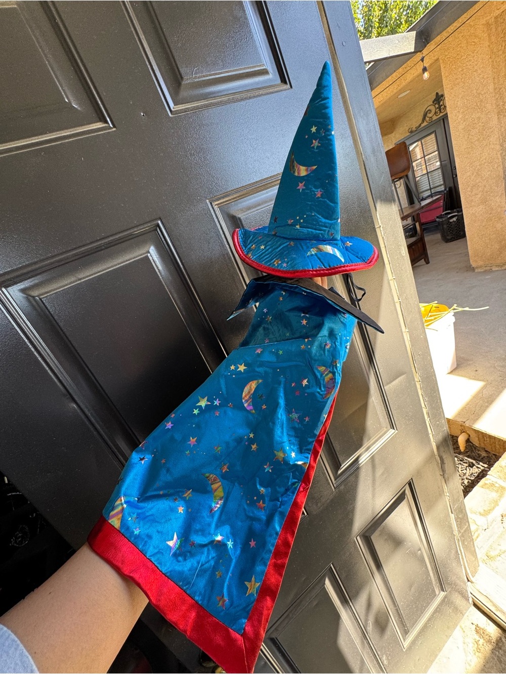 Pet Wizard Costume